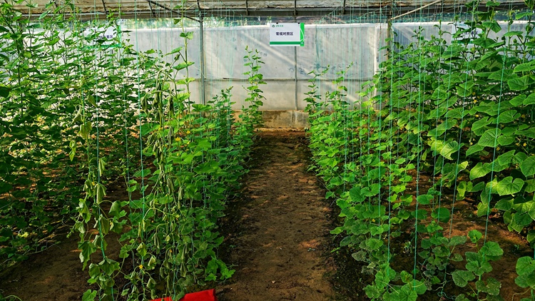 OEŷ��|�ٷ���վ